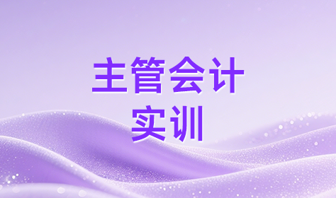 主管会计实训